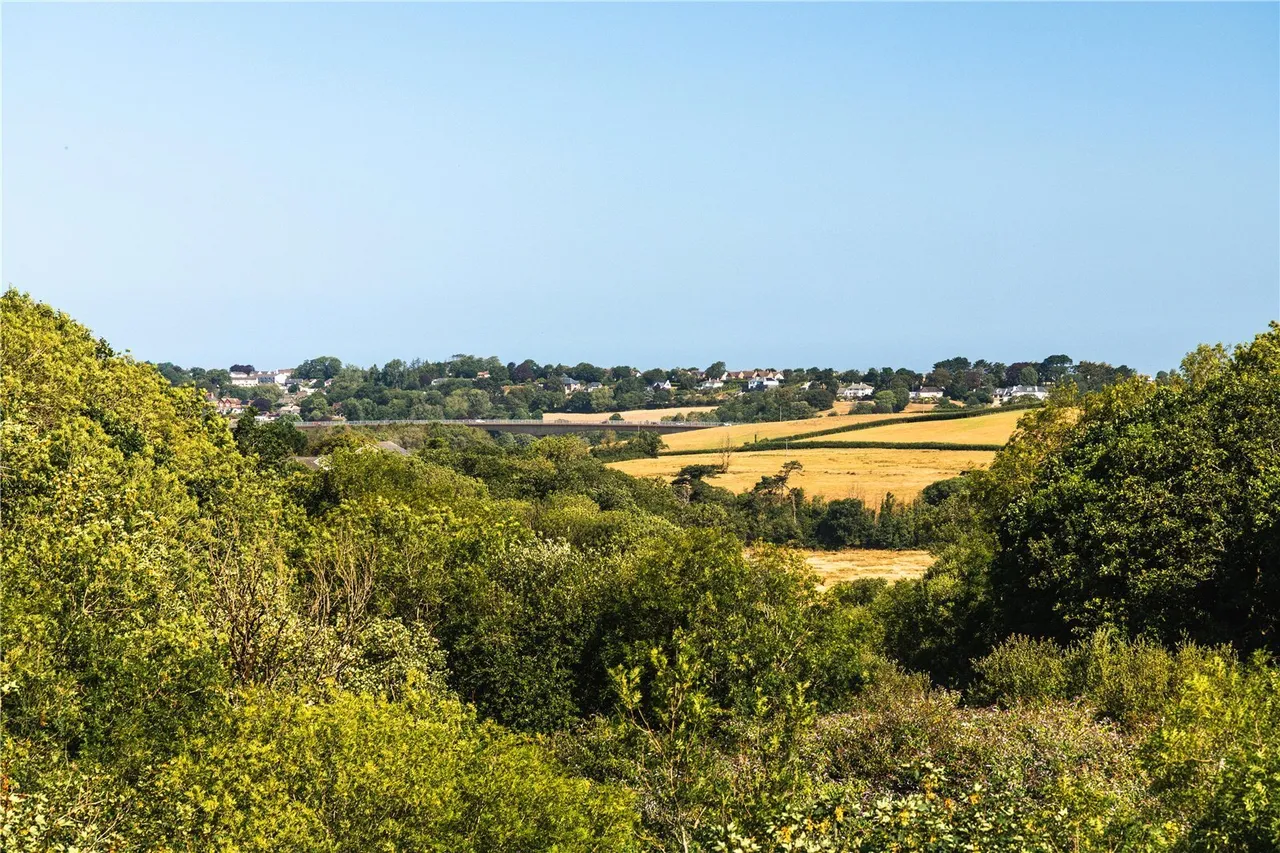 Langmead Drive, Bideford, EX39, photo 19