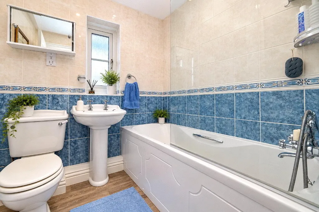 Bideford, EX39, photo 12