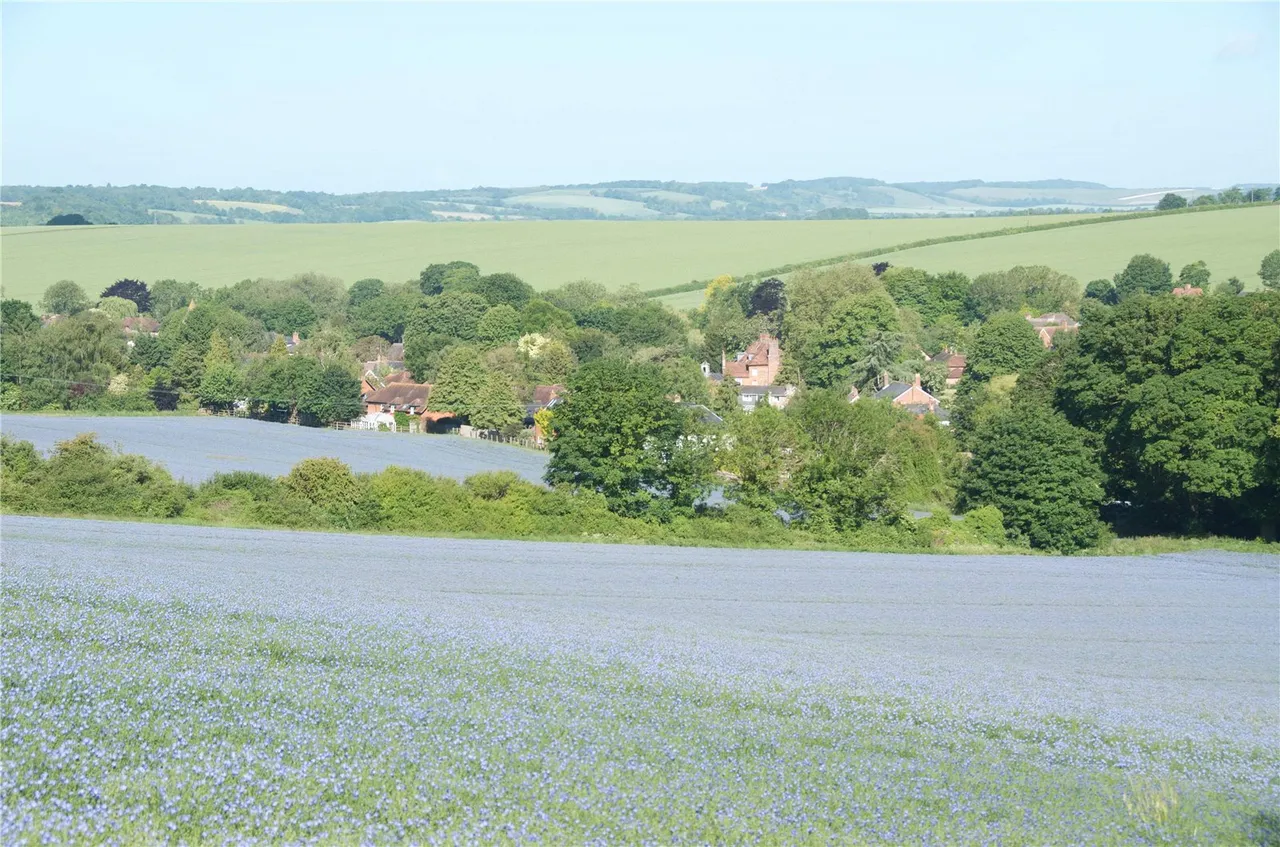 Cow Drove Hill, Kings Somborne, SO20, photo 14
