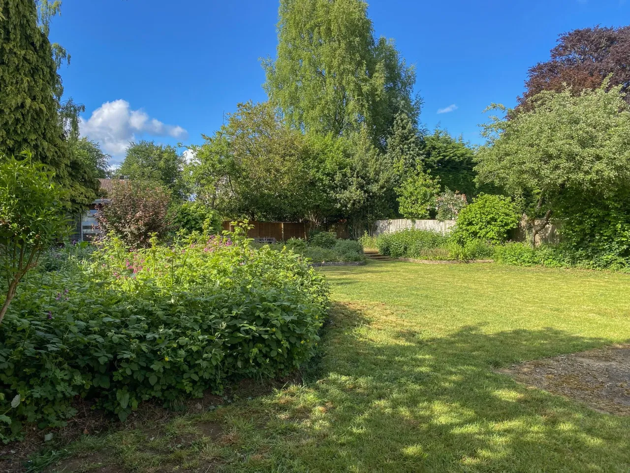 Ramsden Road, Busbridge, GU7, photo 44