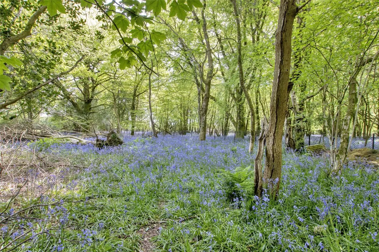 Cudham Lane South, Knockholt, TN14, photo 27