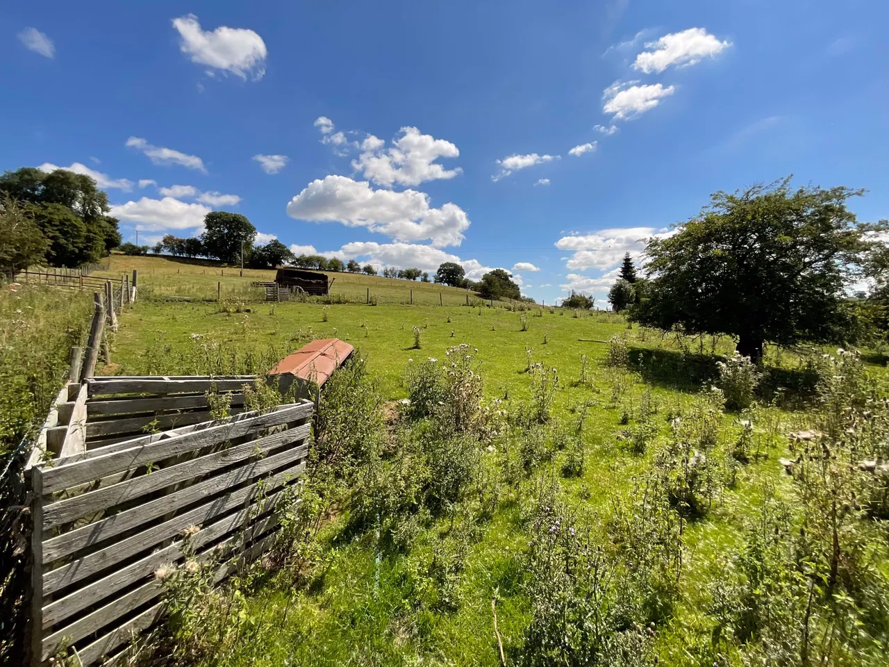 Blythe Bridge Mill, The Blythe, ST18, photo 5