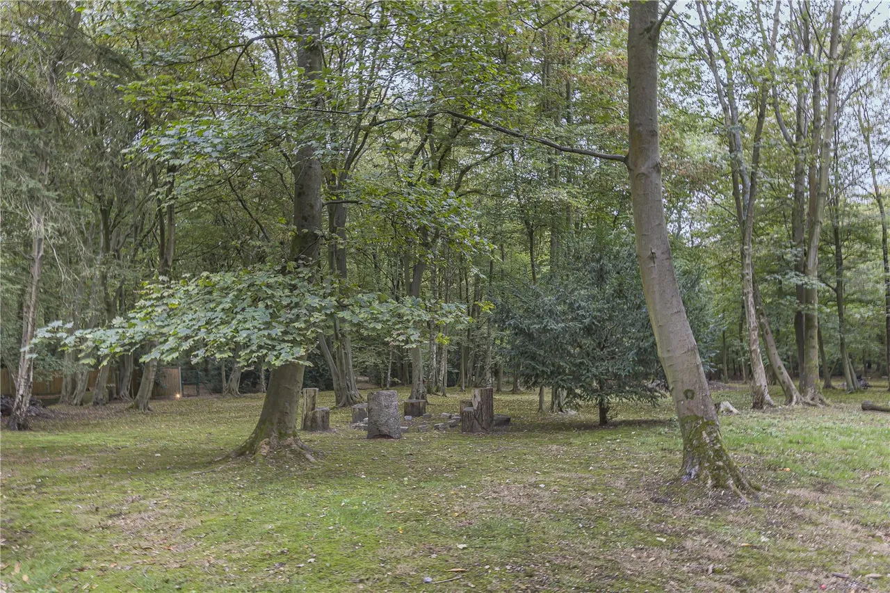 Homewood Lane, Northaw, Hertfordshire, EN6 4PP, photo 55