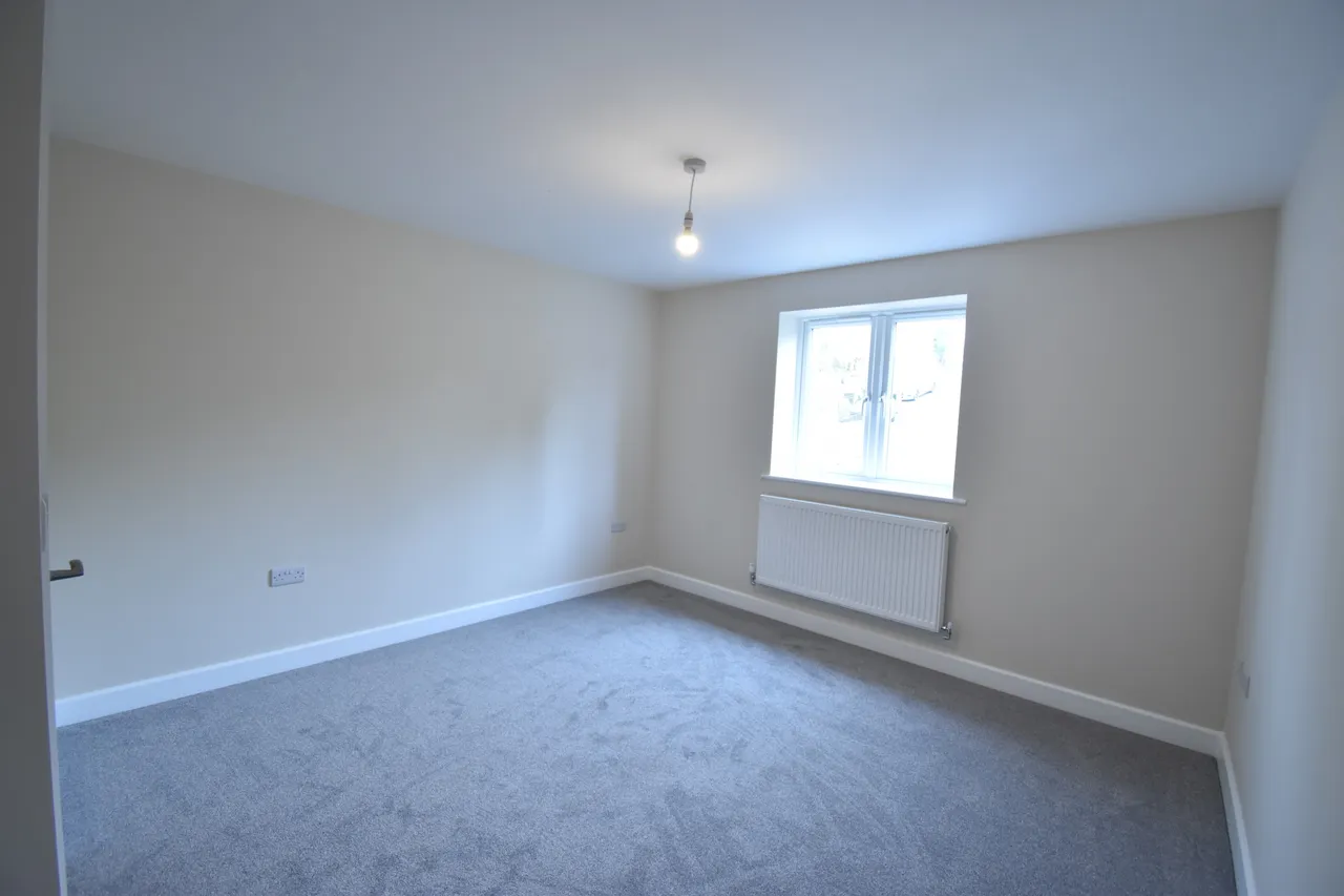 Wonford Street, Exeter, photo 8