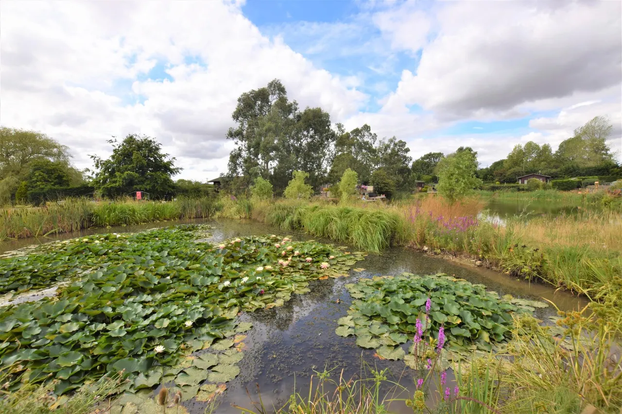 Kelsey Woods Country Park, Monksthorpe, PE23, photo 12