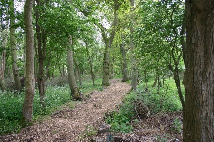 Kelsey Woods Country Park, Monksthorpe, PE23, photo 11