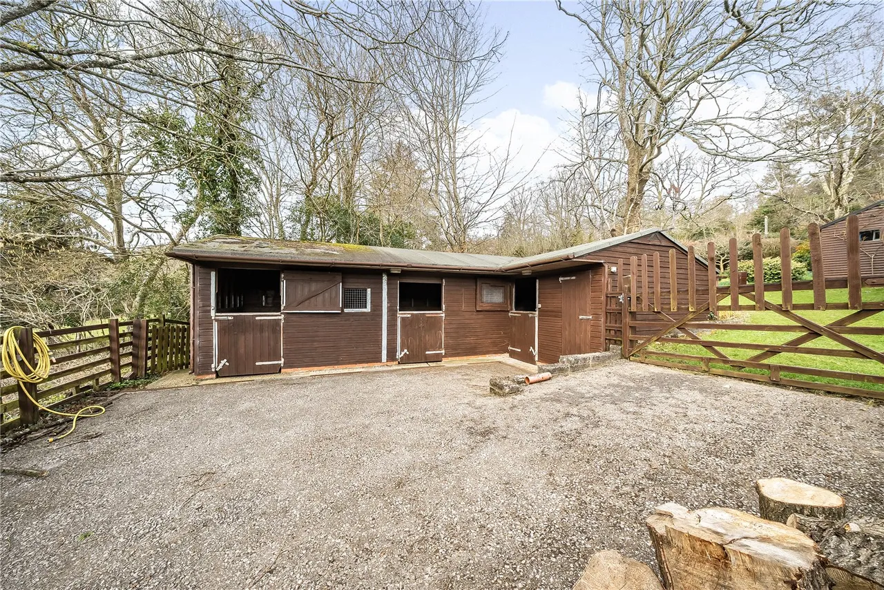 Godshill Wood, Fordingbridge, Hampshire, SP6 2LR, photo 26