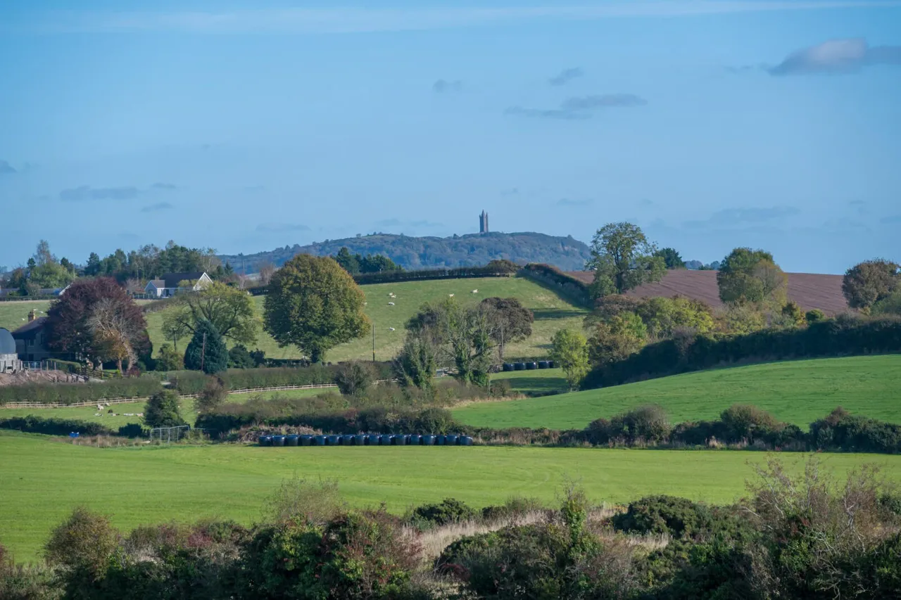 Hillsborough Road, comber, BT23, photo 28