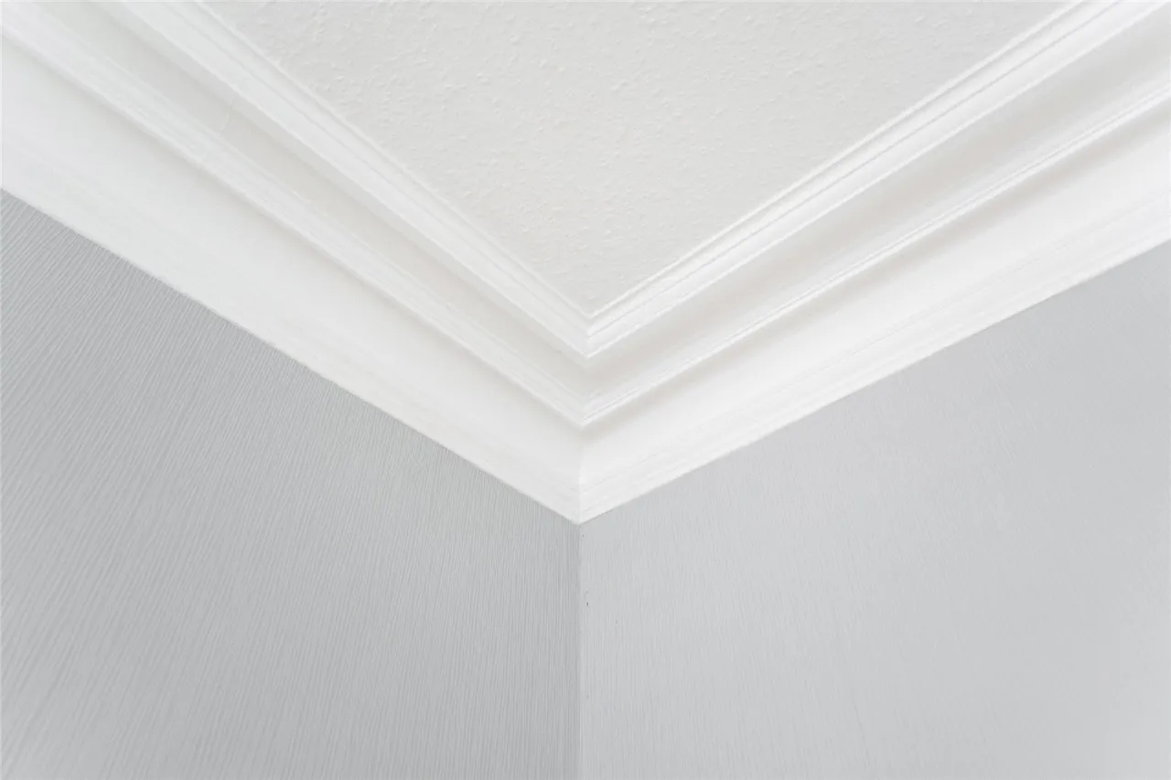 Bruce Street, Stirling, FK8, photo 12