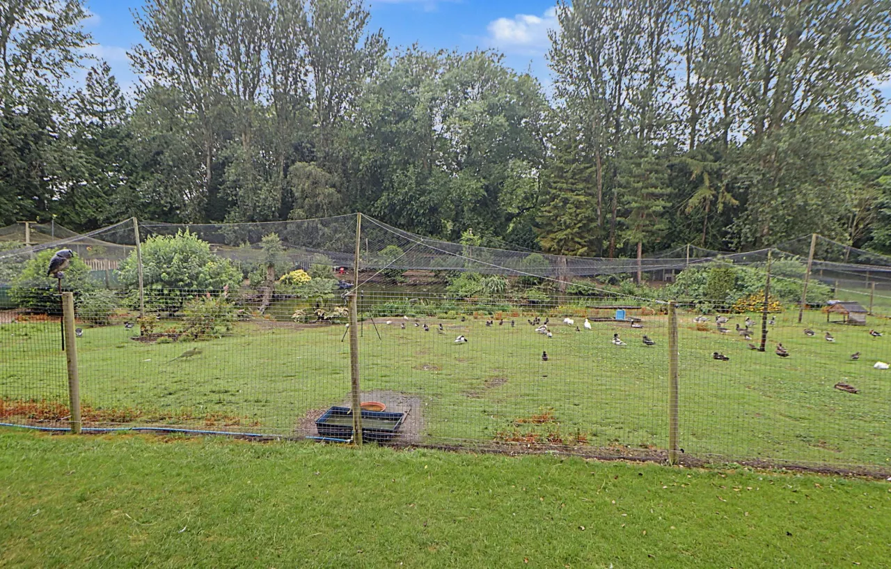 Cavendish Crescent, Alsager, photo 35