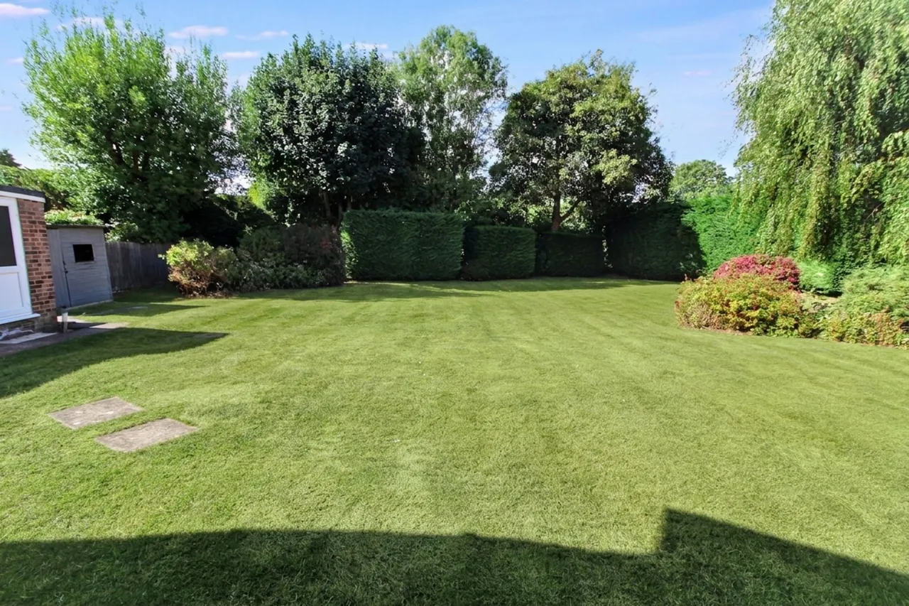 Lester Grove, Hazlemere, HP15, photo 3