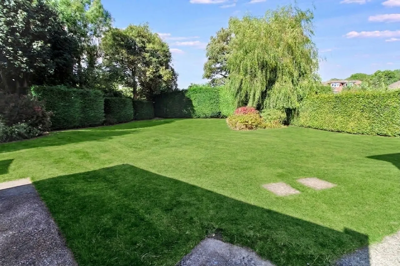 Lester Grove, Hazlemere, HP15, photo 24