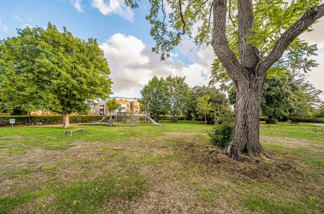 Longley Road, Chichester, PO19, photo 16