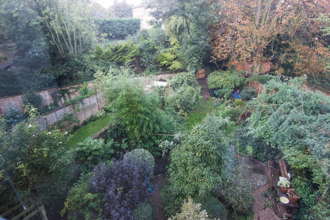 Carleton Road, London, N7, photo 10