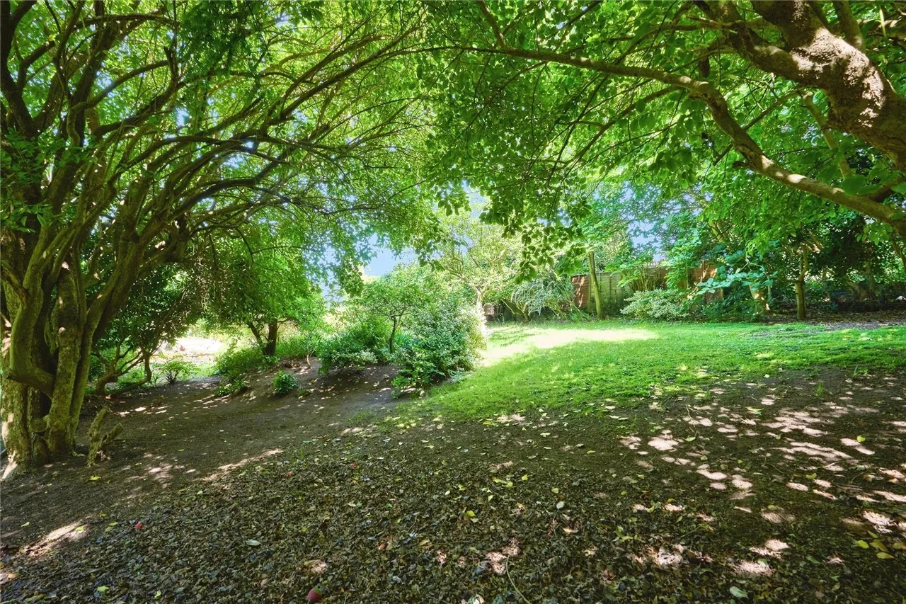 Forest Road, Winford, PO36, photo 23