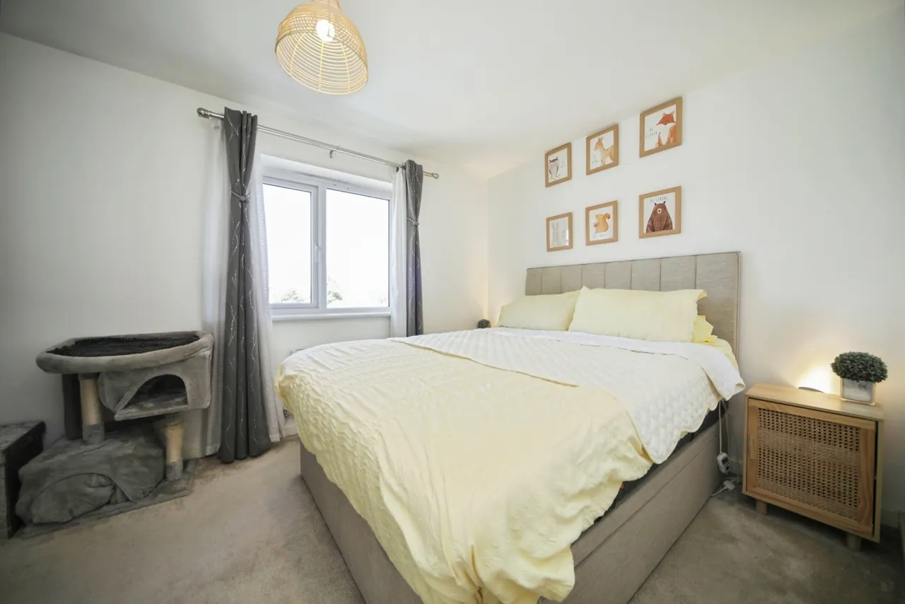 Muntjac Gardens, Stowmarket, Suffolk, IP14, photo 14