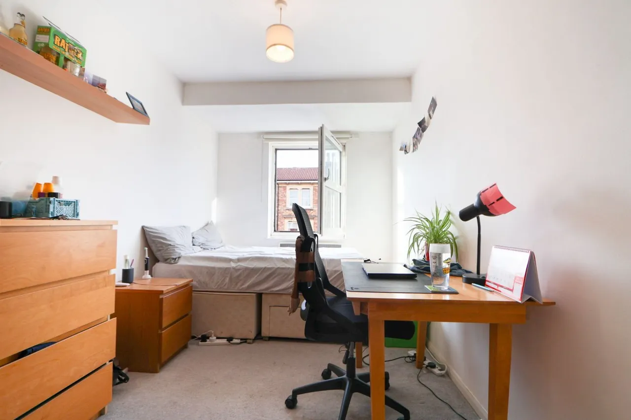 Alma Vale Road, Bristol, BS8, photo 6