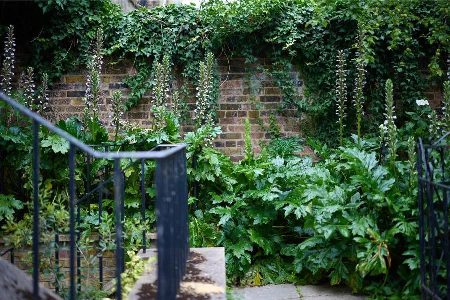 Crescent Grove, London, SW4, photo 4
