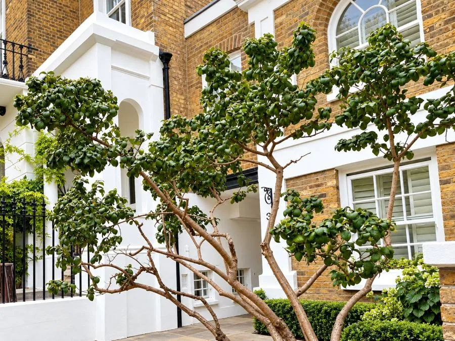 Crescent Grove, London, SW4, photo 2