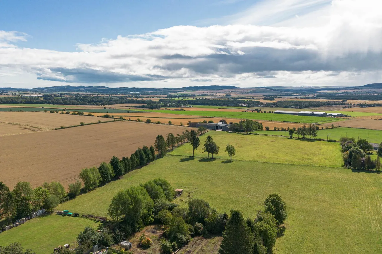 Main Road, Westmuir, DD8, photo 47
