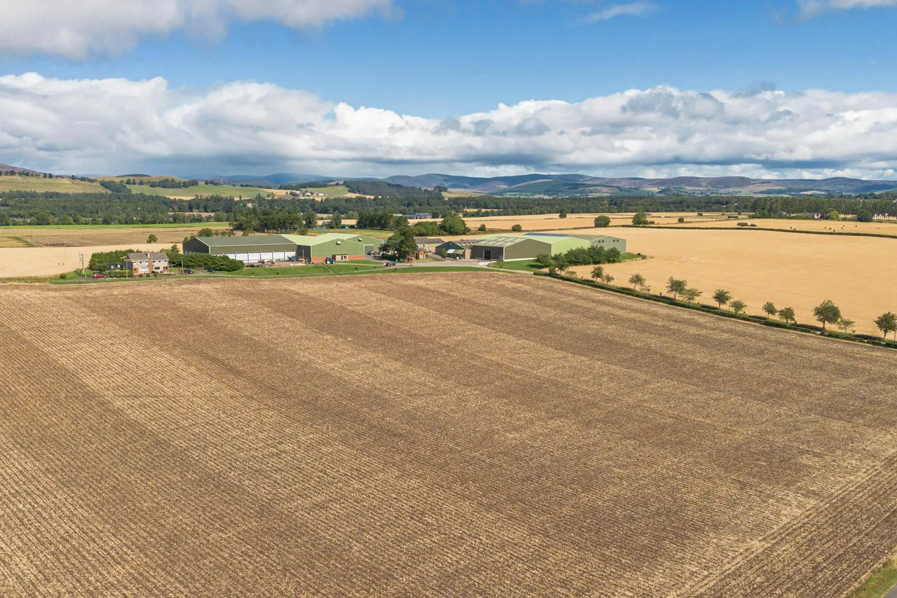 Main Road, Westmuir, DD8, photo 49