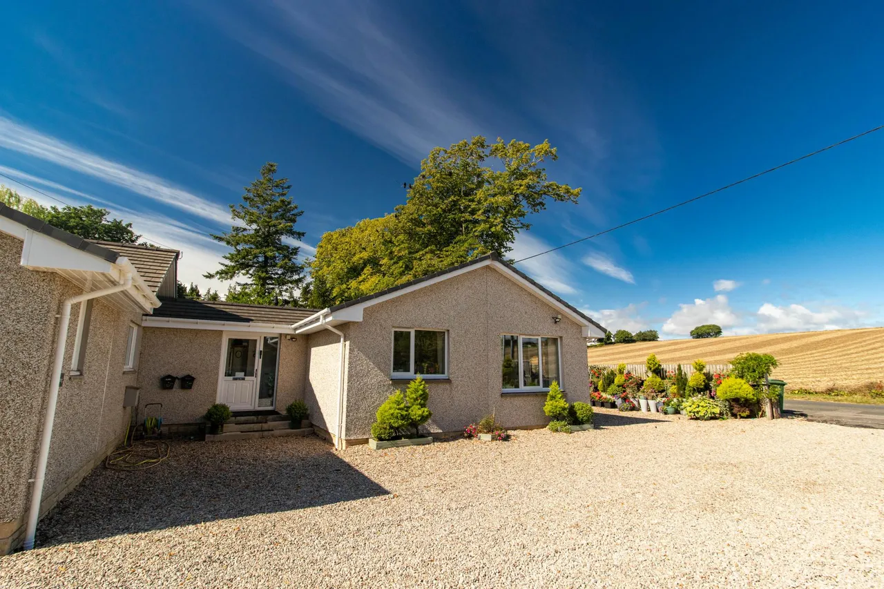 Main Road, Westmuir, DD8, photo 39