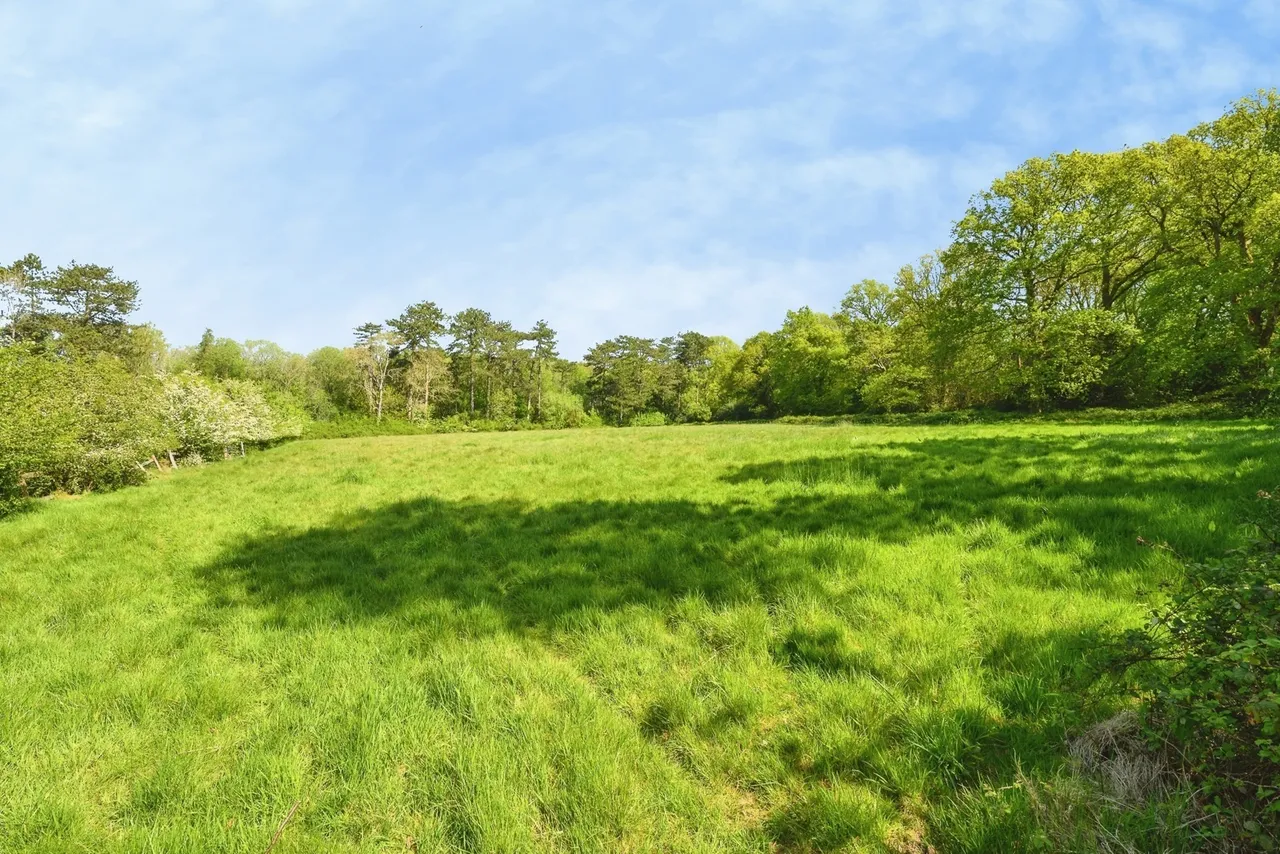 Golf Road, Kenley, CR8, photo 24