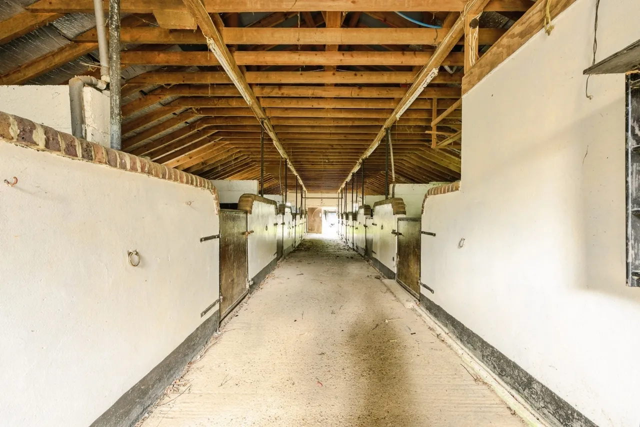 Golf Road, Kenley, CR8, photo 18
