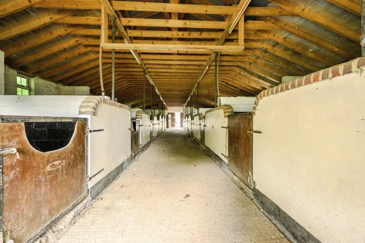 Golf Road, Kenley, CR8, photo 8