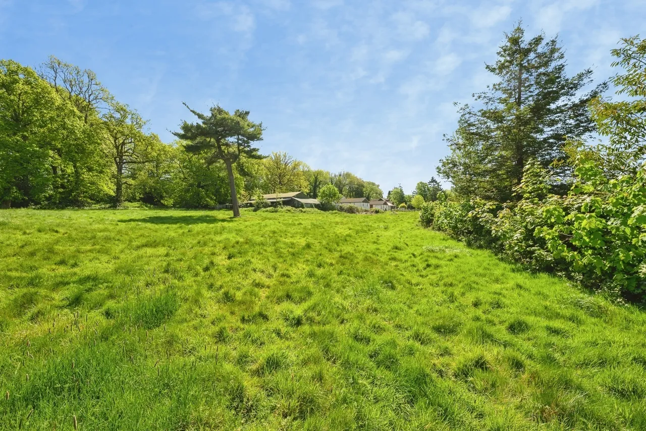 Golf Road, Kenley, CR8, photo 23