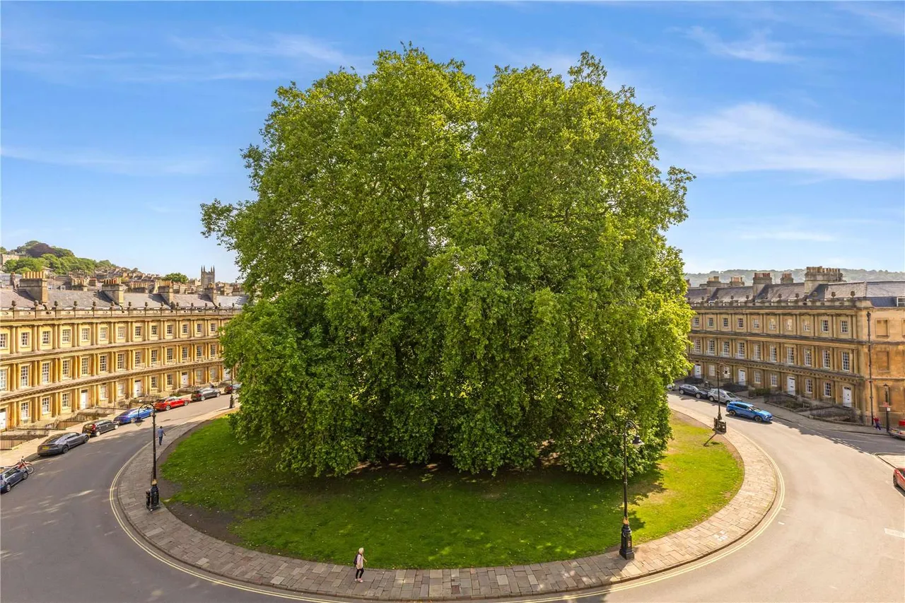 The Circus, Bath, Somerset, BA1 2EW, photo 5