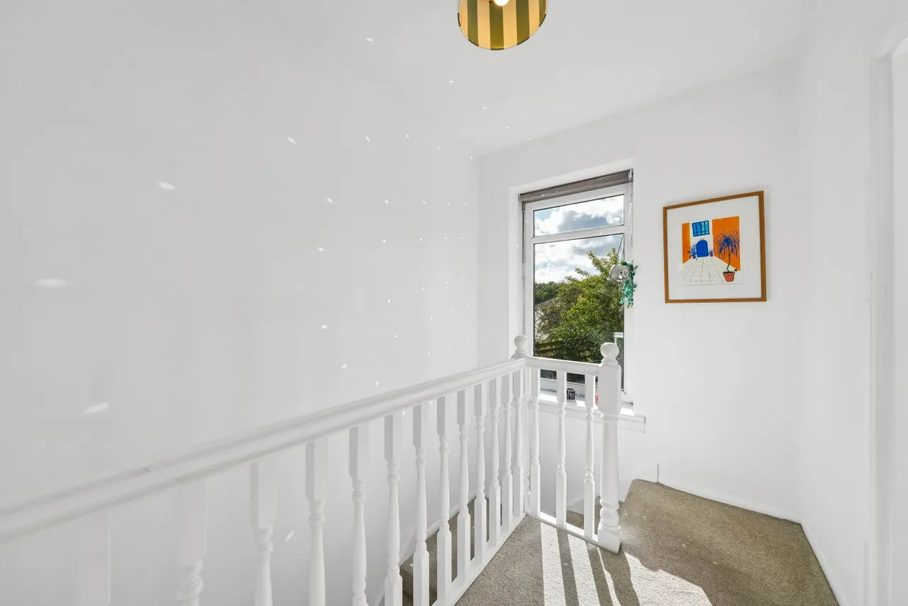 Orchard Park Avenue, Giffnock, G46, photo 18