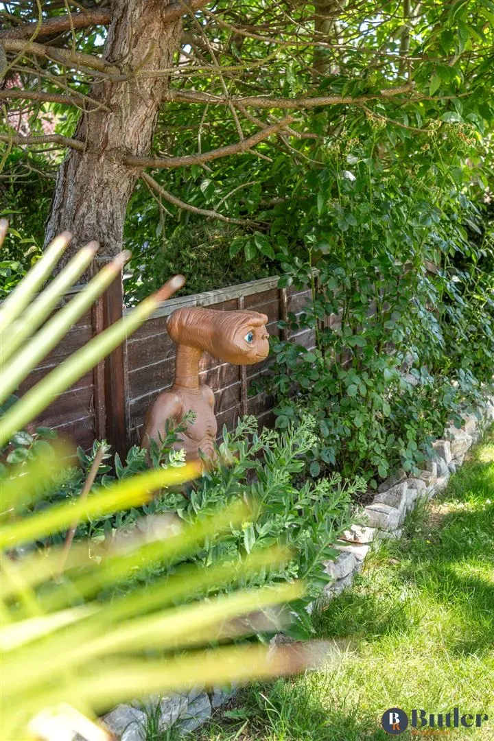 Grove Avenue, Harpenden, AL5, photo 51