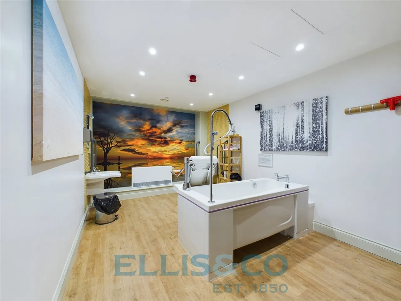 Tudeley Lane, Tonbridge, TN11, photo 11