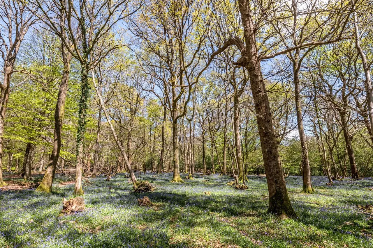 Redbridge Lane, Crowborough, TN6, photo 27