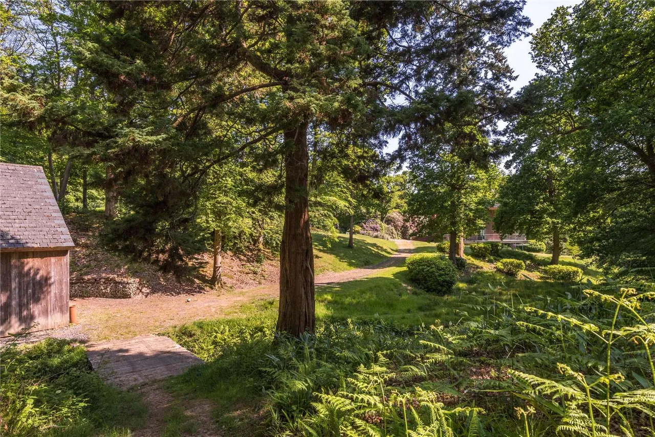 Redbridge Lane, Crowborough, TN6, photo 25