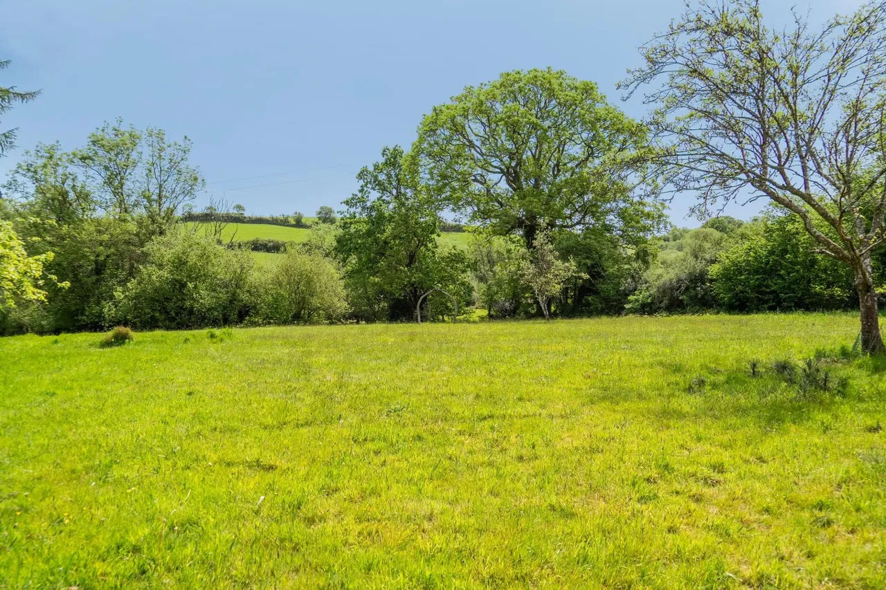 Moretonhampstead, Newton Abbot, TQ13, photo 23