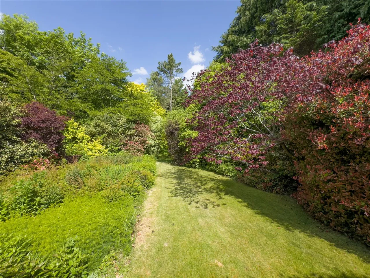 Brandy Lane, Lerryn, PL22, photo 8