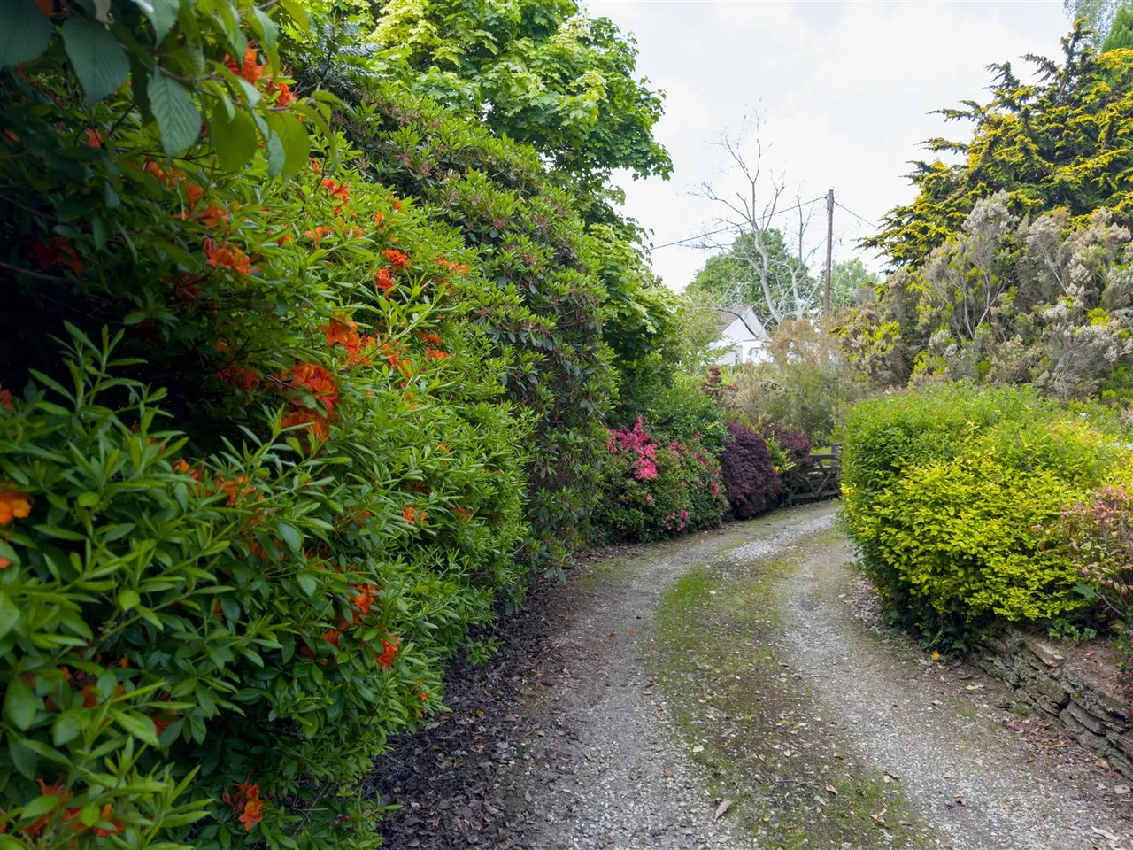 Brandy Lane, Lerryn, PL22, photo 12