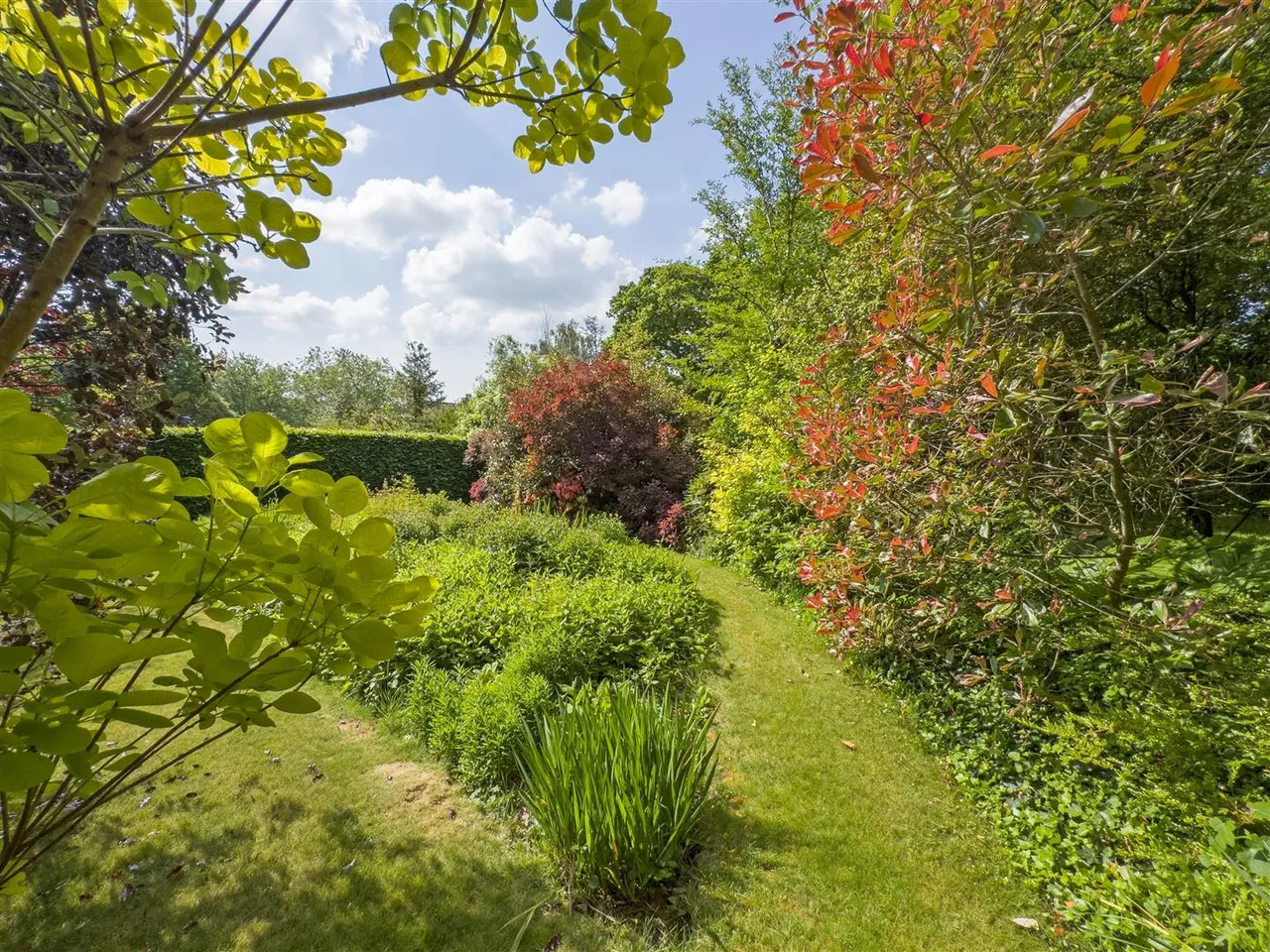 Brandy Lane, Lerryn, PL22, photo 13
