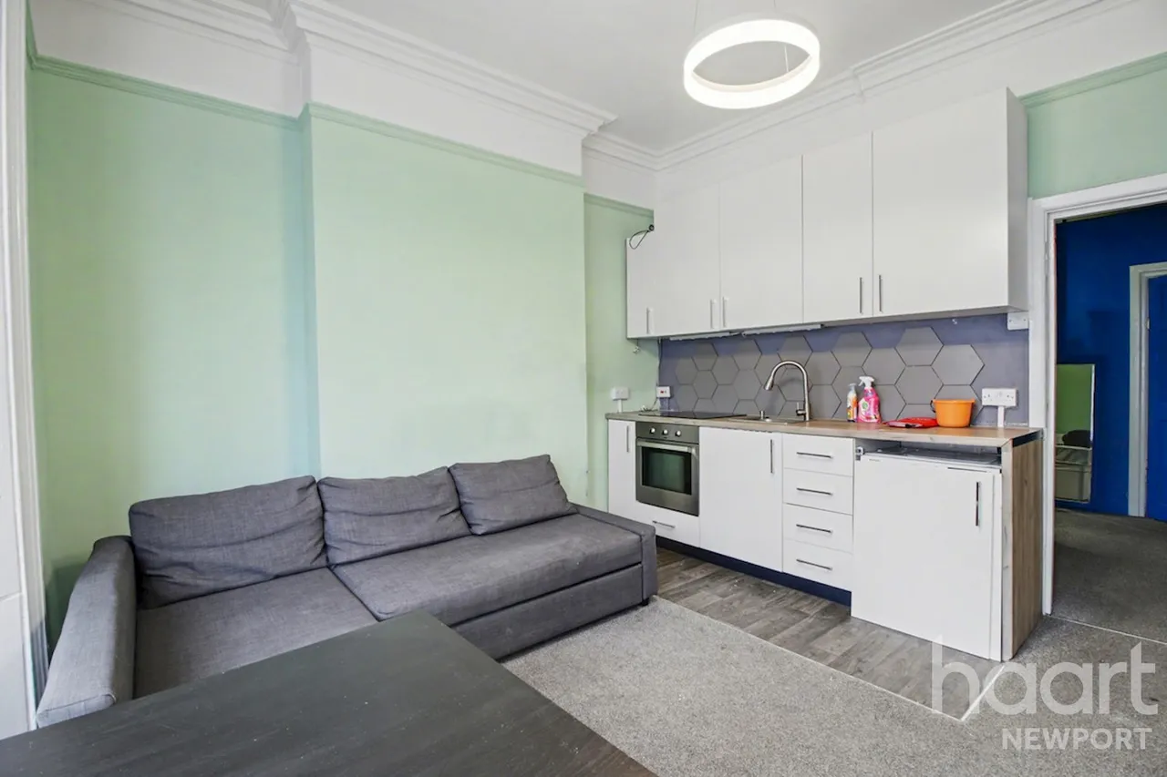 Chepstow Road, Newport, NP19, photo 5