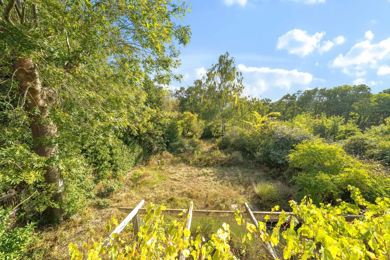 The Avenue, Beckenham, BR3, photo 12