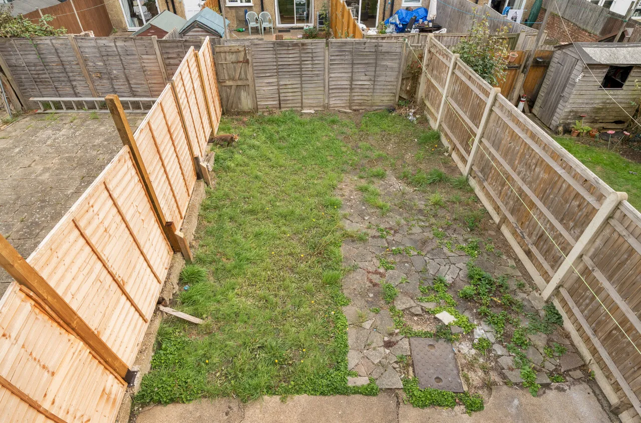 Waverley Road, London, SE25, photo 5