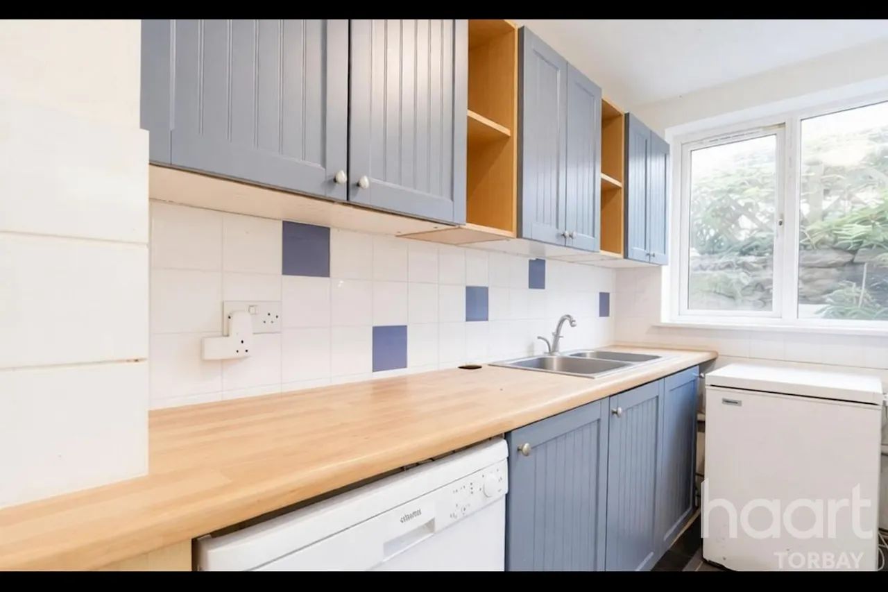 Higher Polsham Road, Paignton, TQ3, photo 17