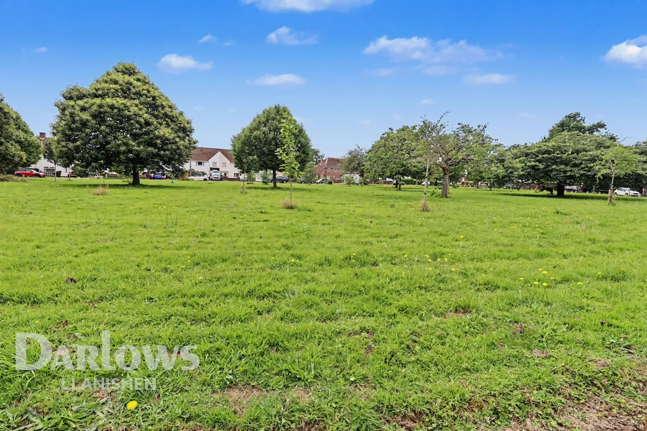 Tynant, Cardiff, photo 16