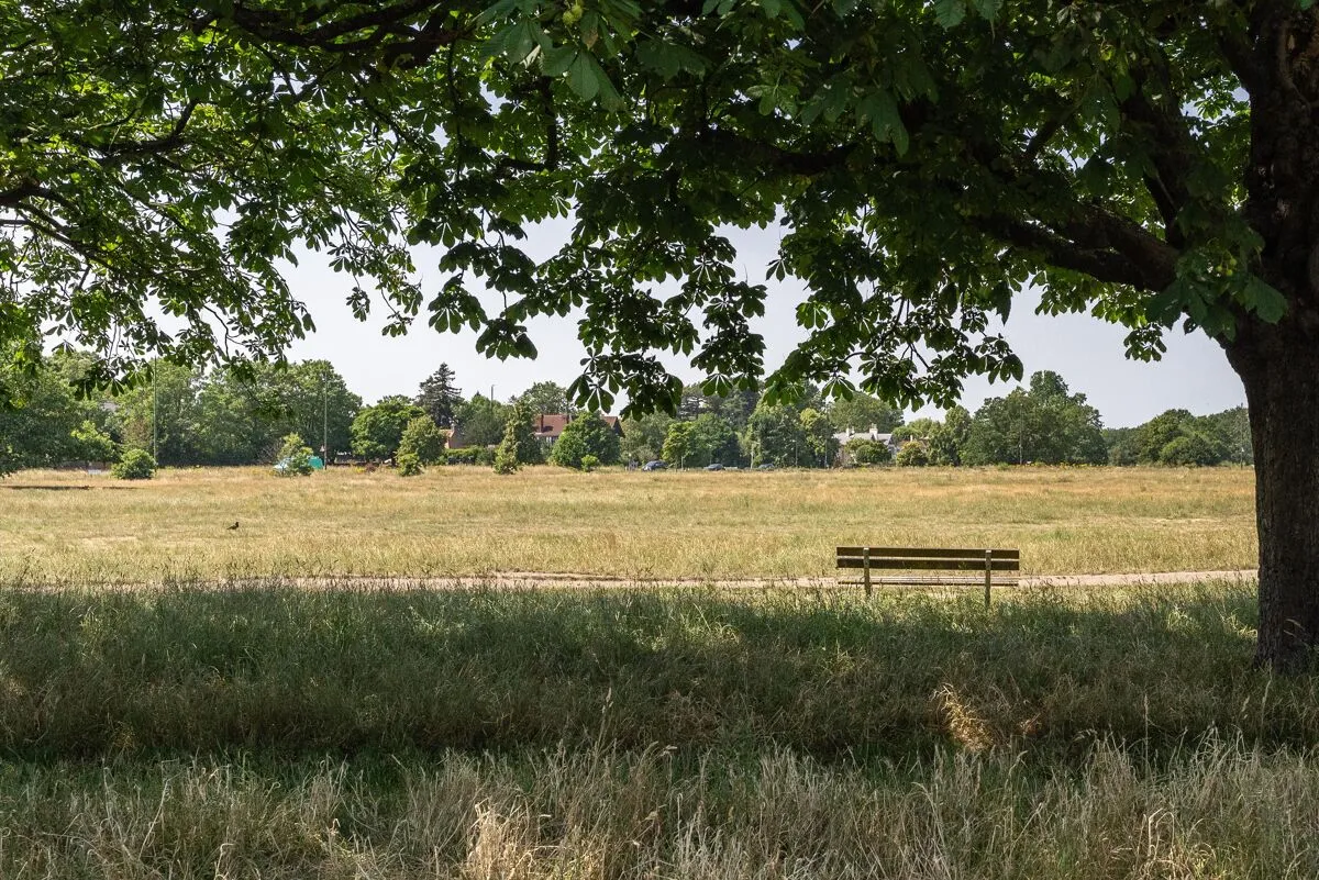 Southside Common, Wimbledon, SW19, photo 37