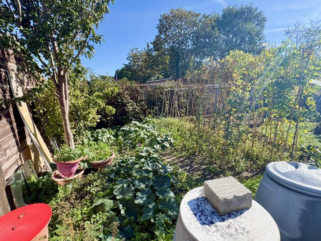 Rockley Road, BH15, photo 23