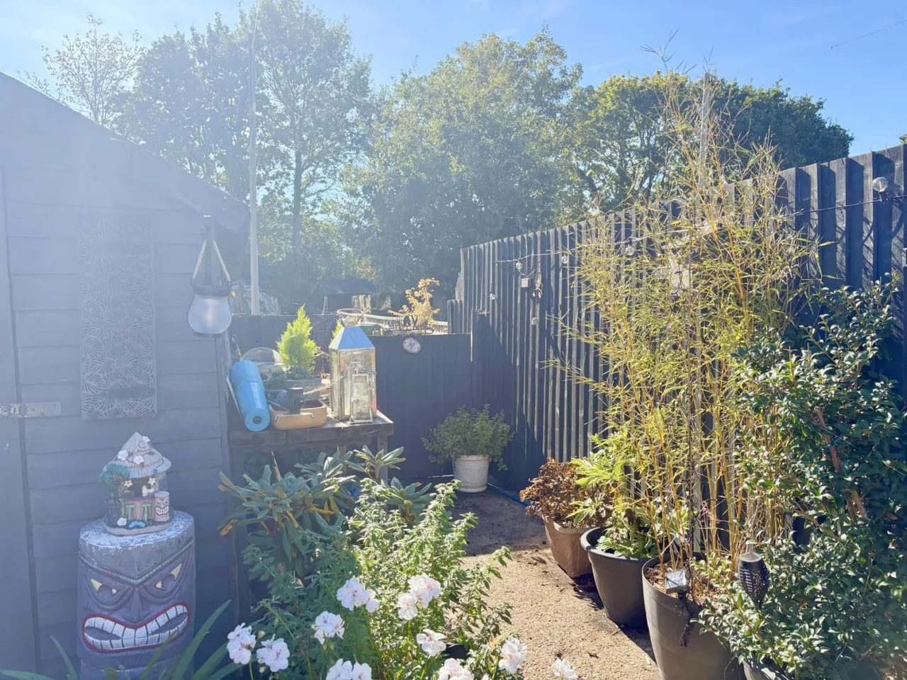 Rockley Road, BH15, photo 22