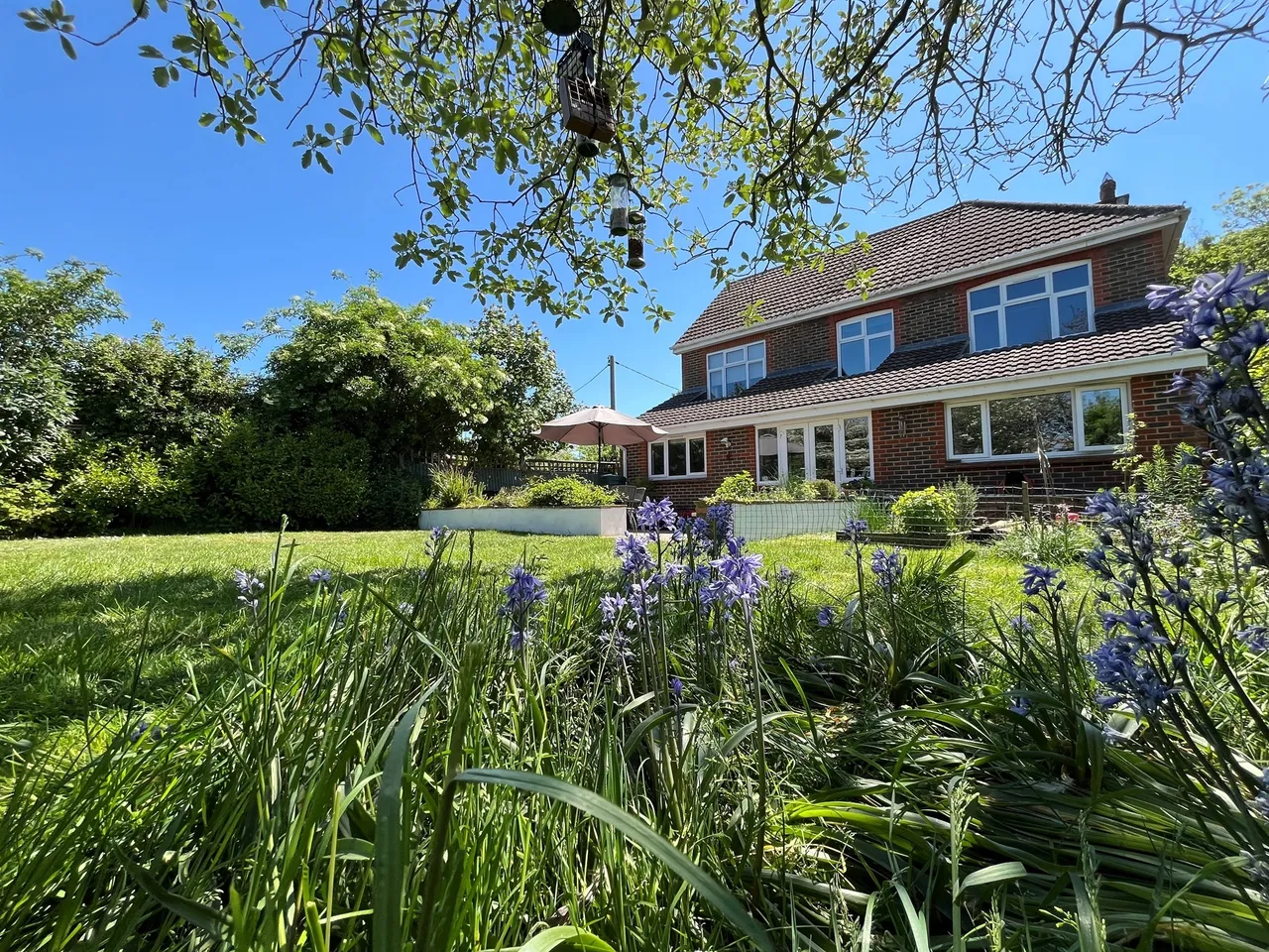 Pevensey Road, Polegate, BN26, photo 16