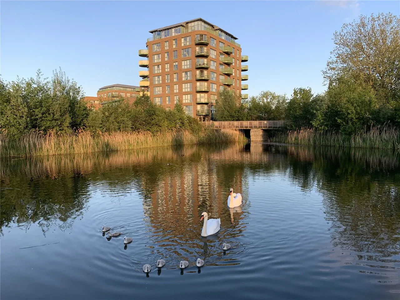 Astell Road, London, SE3 9FN, photo 7
